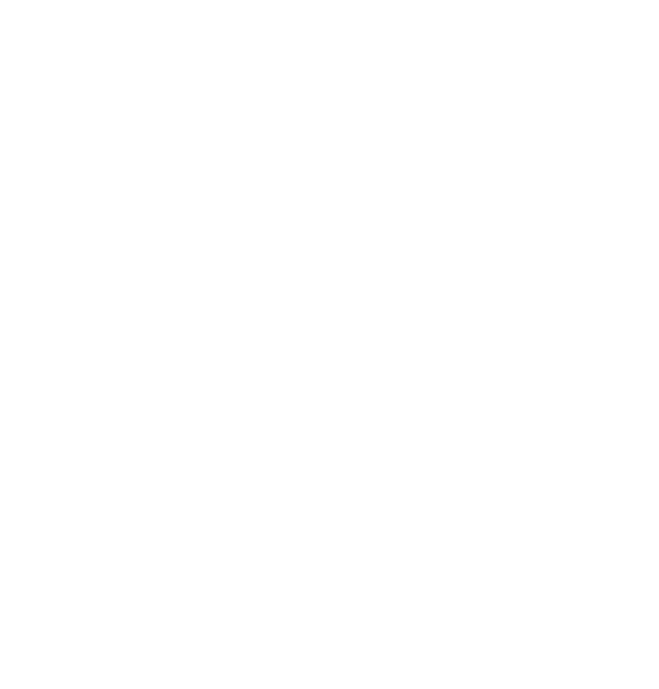 Service V Background